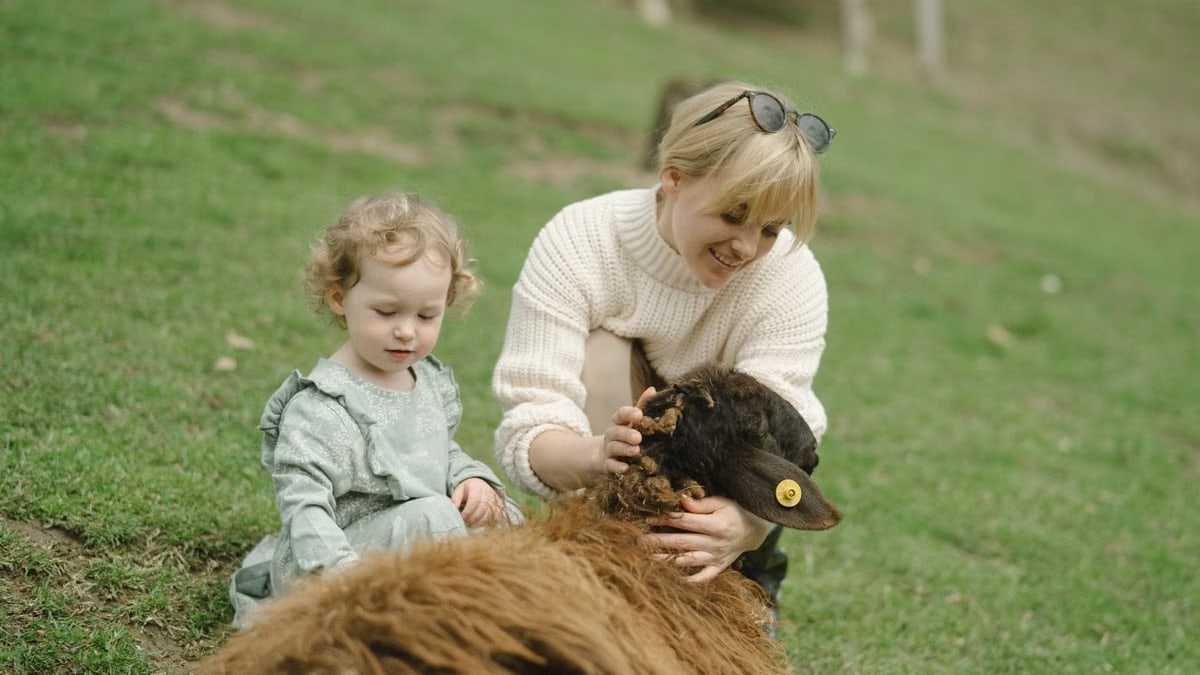 A woman and her child happily interact with a sheep in a green field, capturing a rural family moment.
